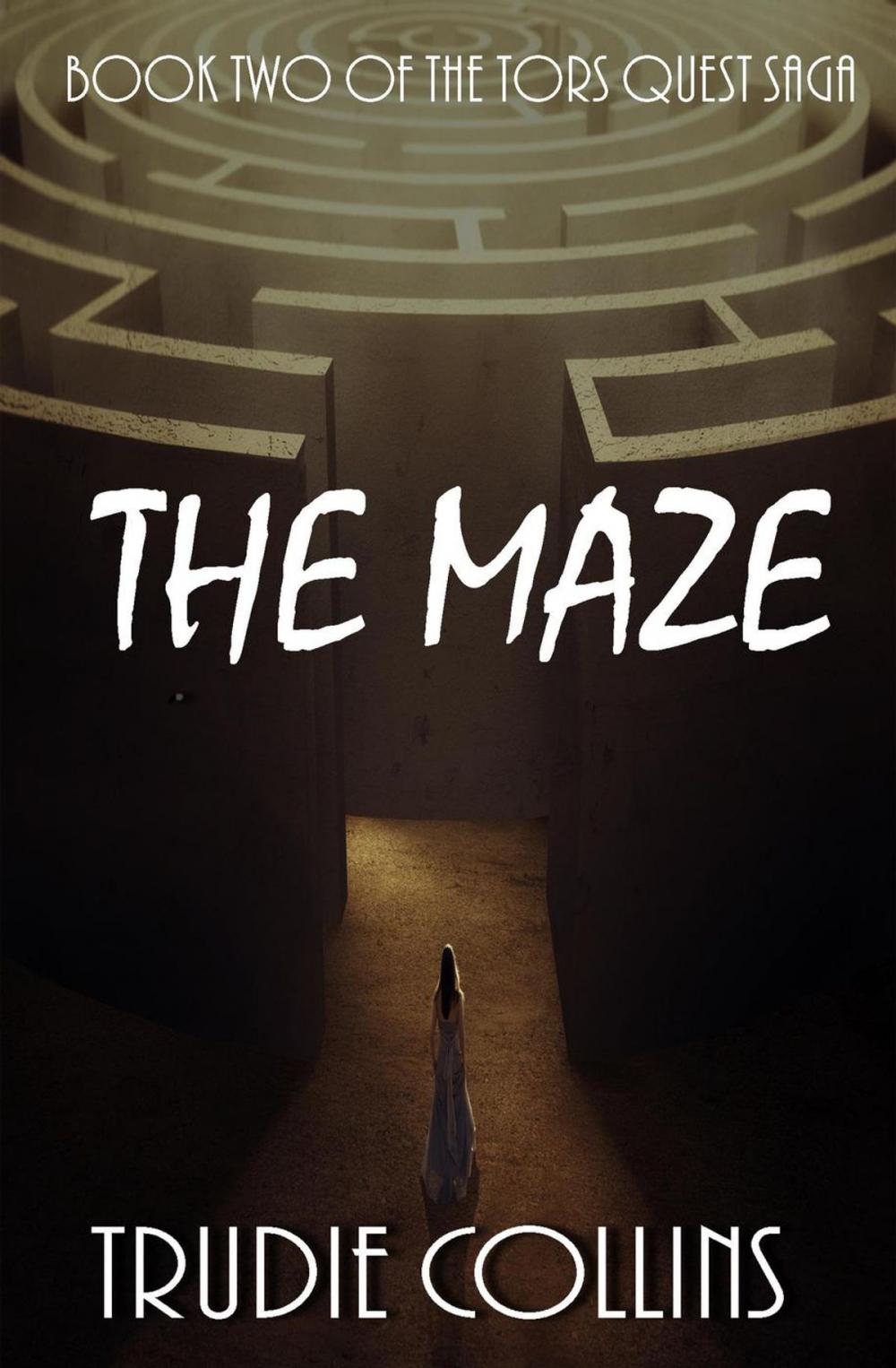 Big bigCover of The Maze