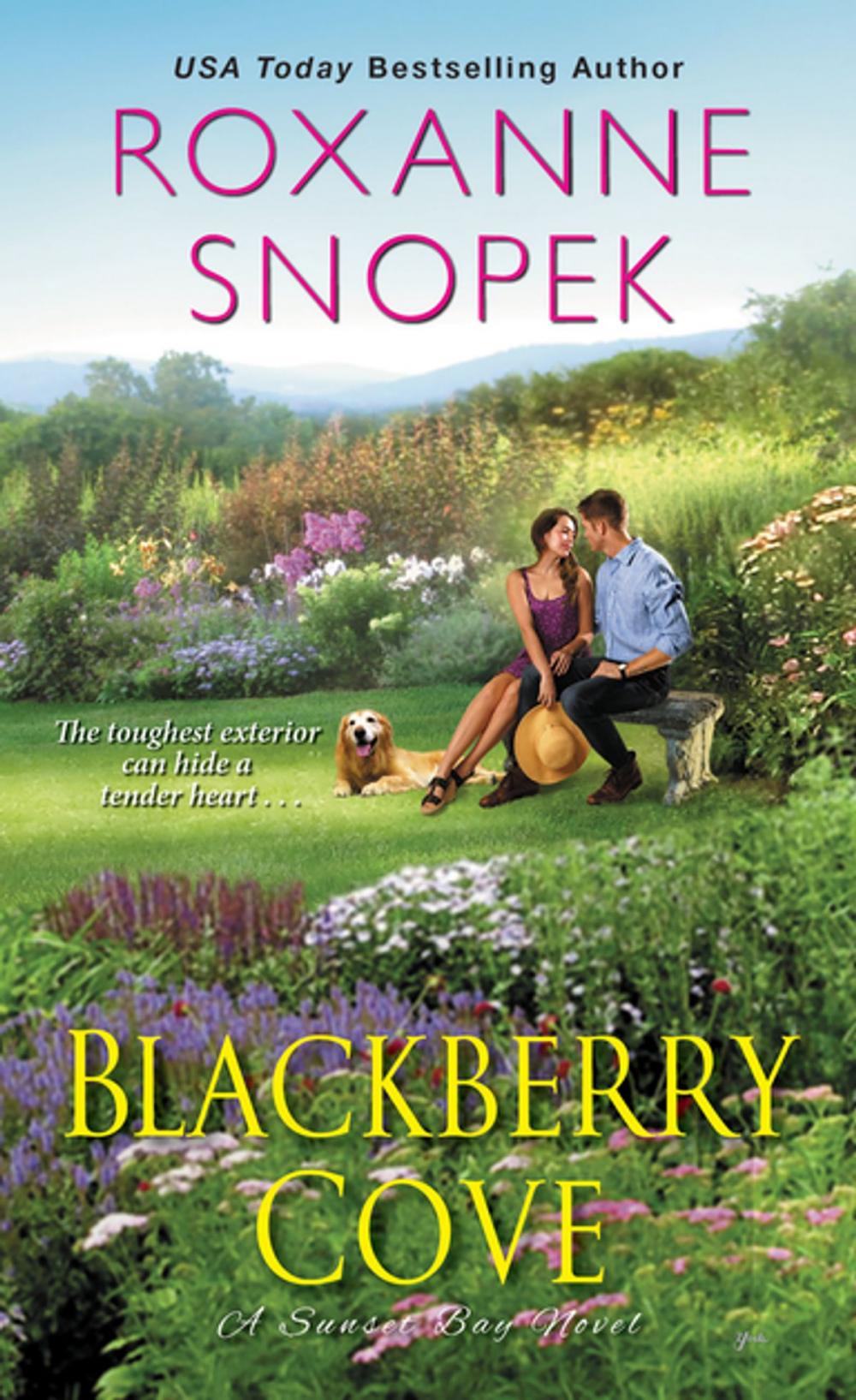 Big bigCover of Blackberry Cove