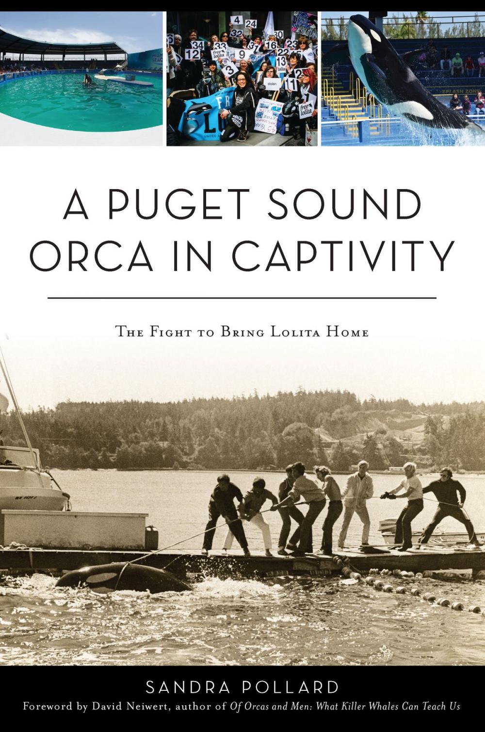 Big bigCover of A Puget Sound Orca in Captivity