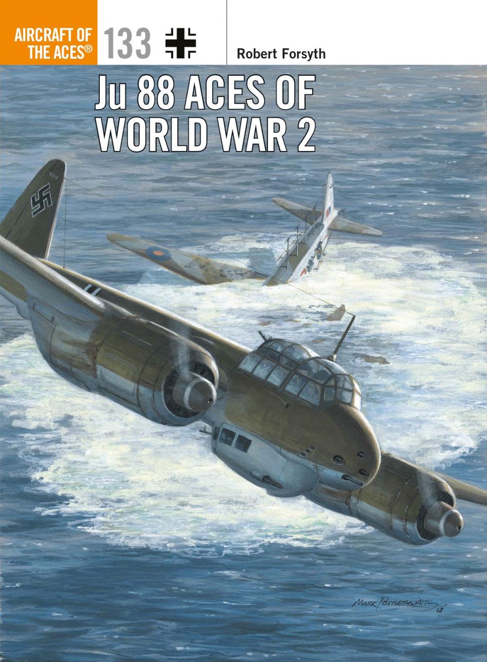 Big bigCover of Ju 88 Aces of World War 2