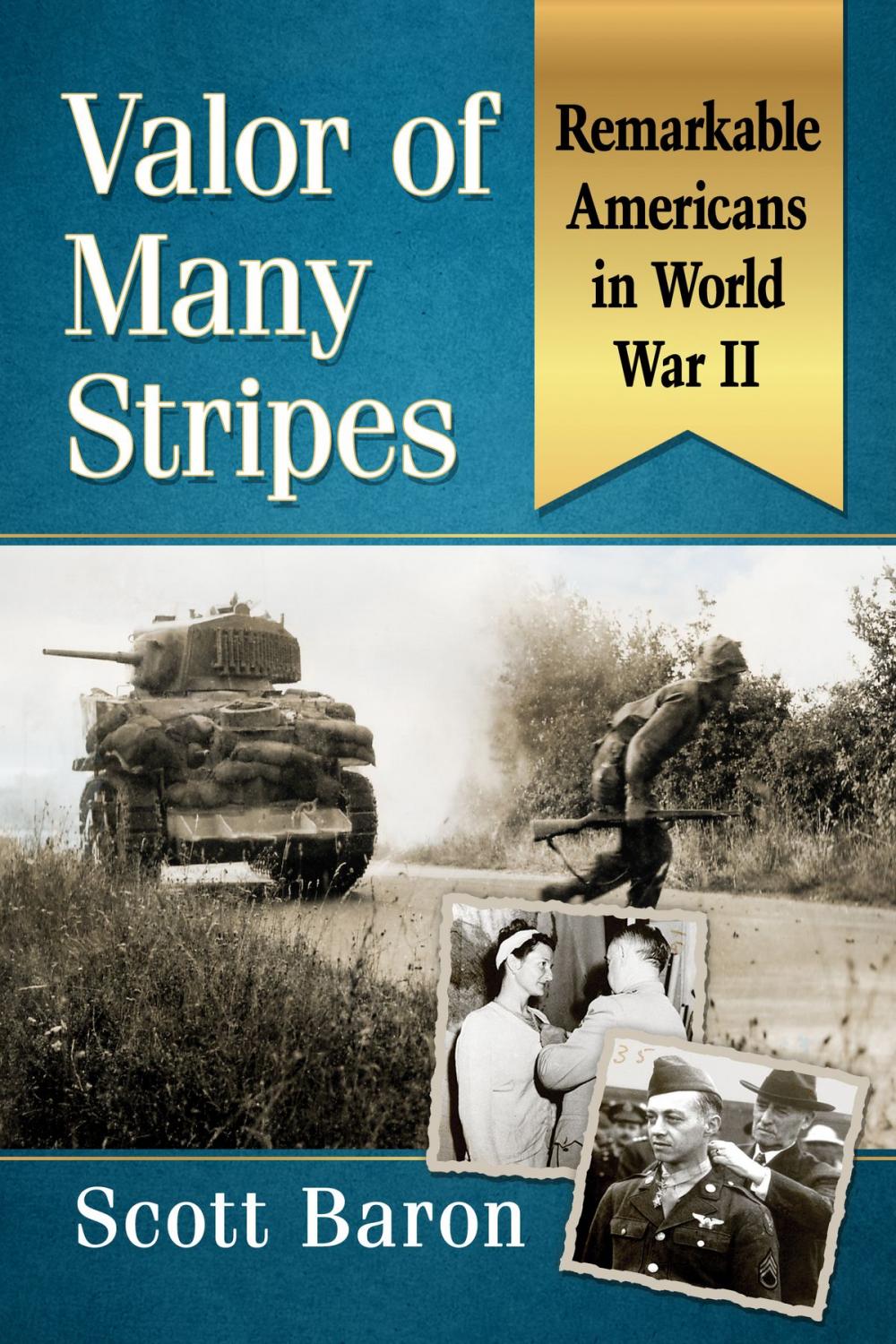 Big bigCover of Valor of Many Stripes