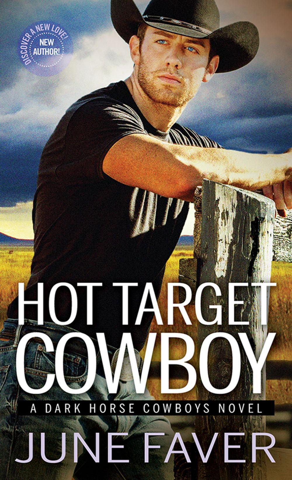 Big bigCover of Hot Target Cowboy