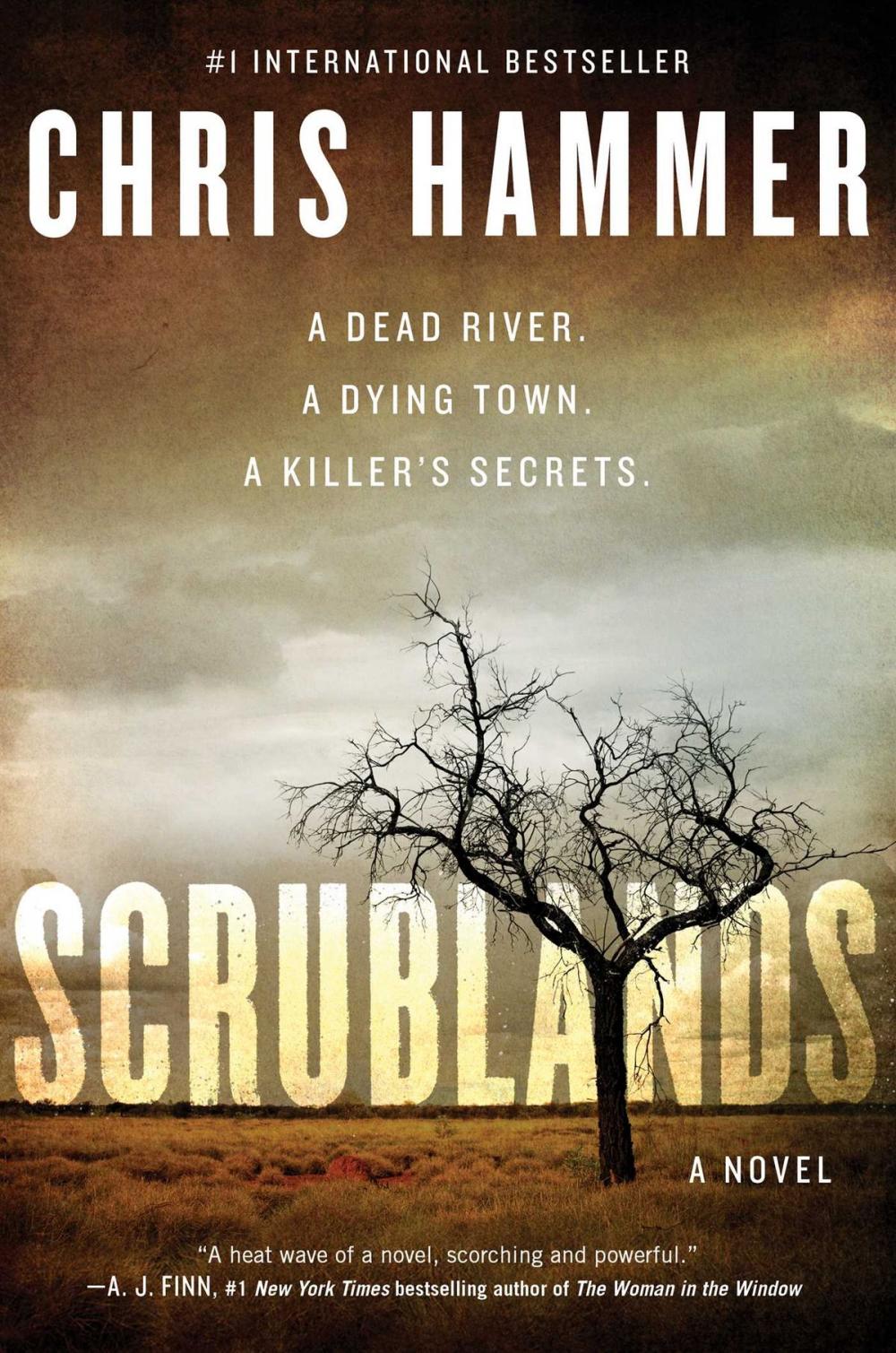 Big bigCover of Scrublands