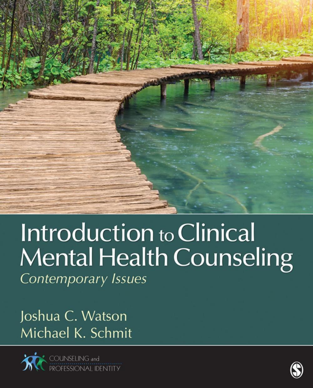 Big bigCover of Introduction to Clinical Mental Health Counseling