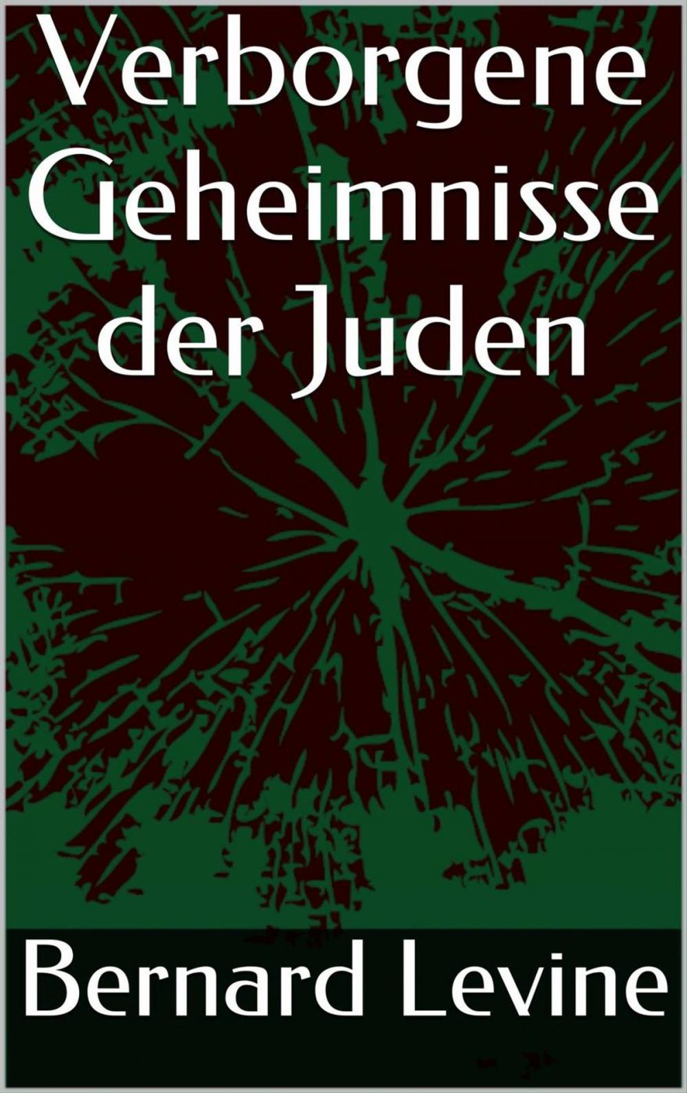 Big bigCover of Verborgene Geheimnisse der Juden