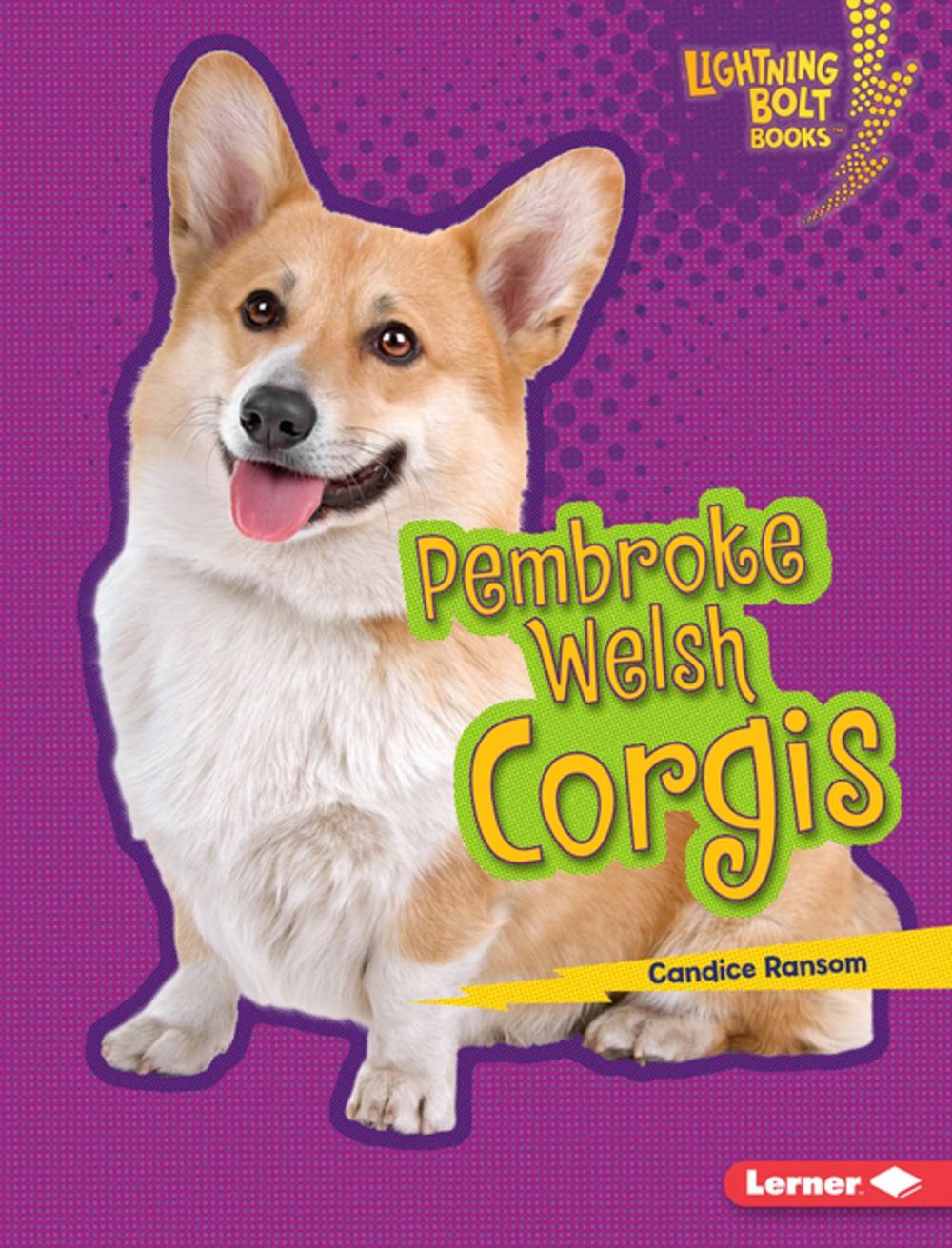 Big bigCover of Pembroke Welsh Corgis