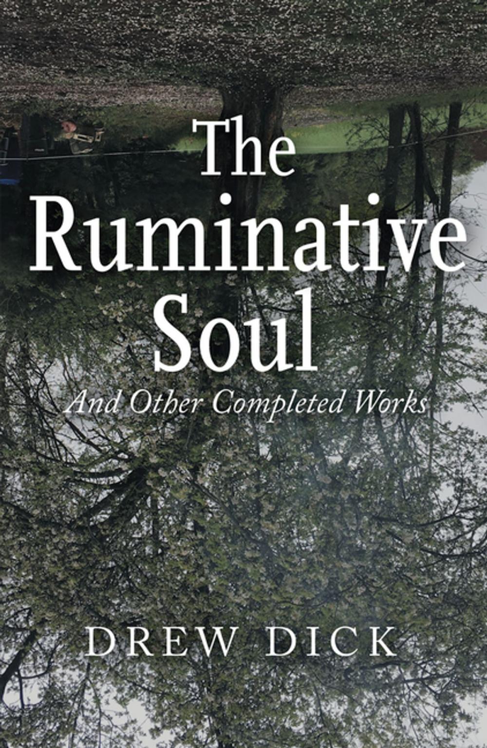 Big bigCover of The Ruminative Soul