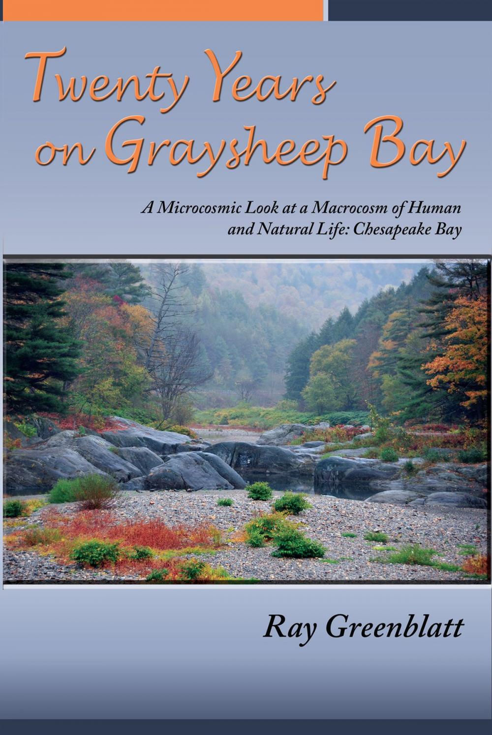 Big bigCover of Twenty Years on Graysheep Bay