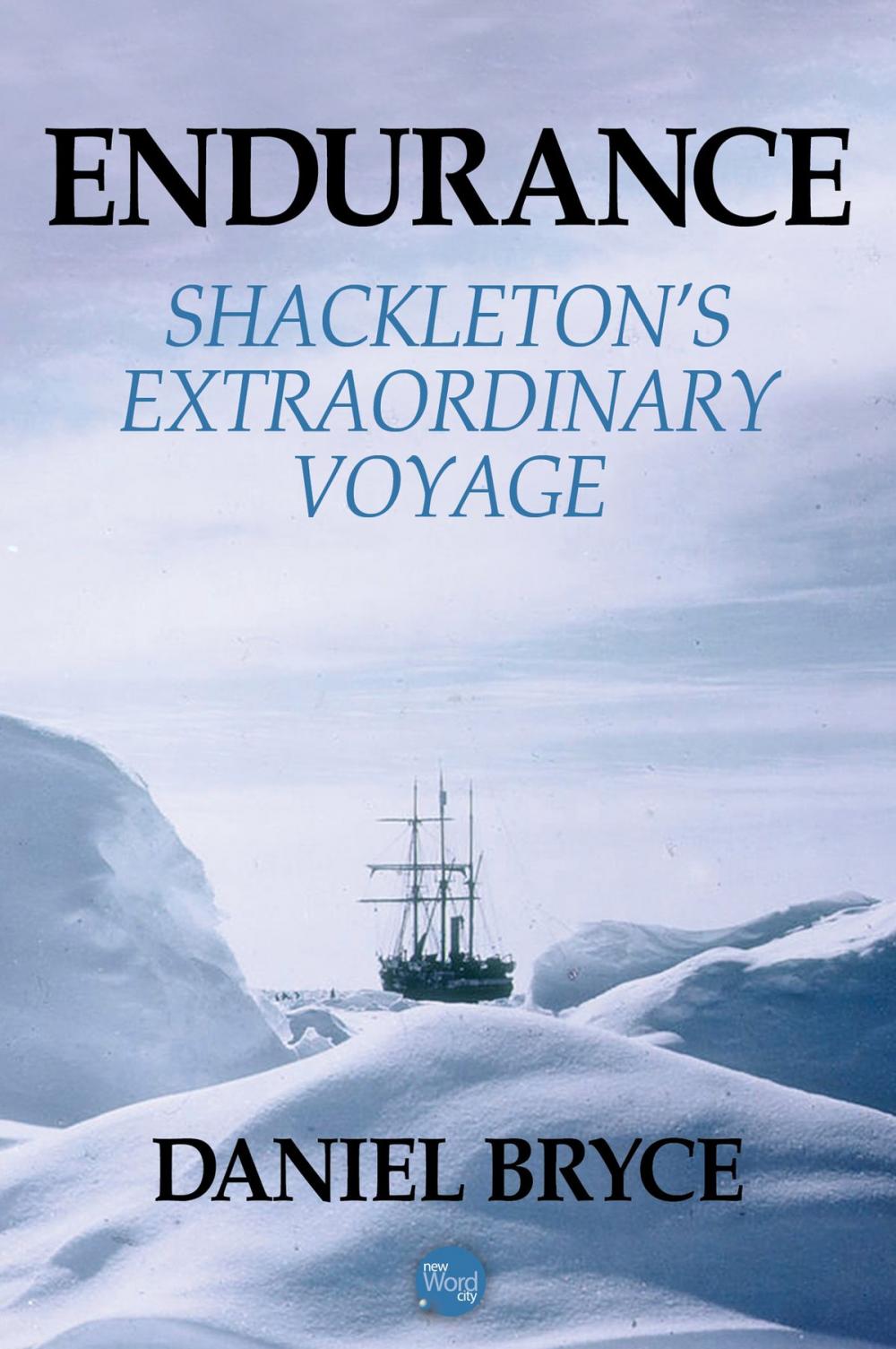 Big bigCover of Endurance: Shackleton's Extraordinary Voyage