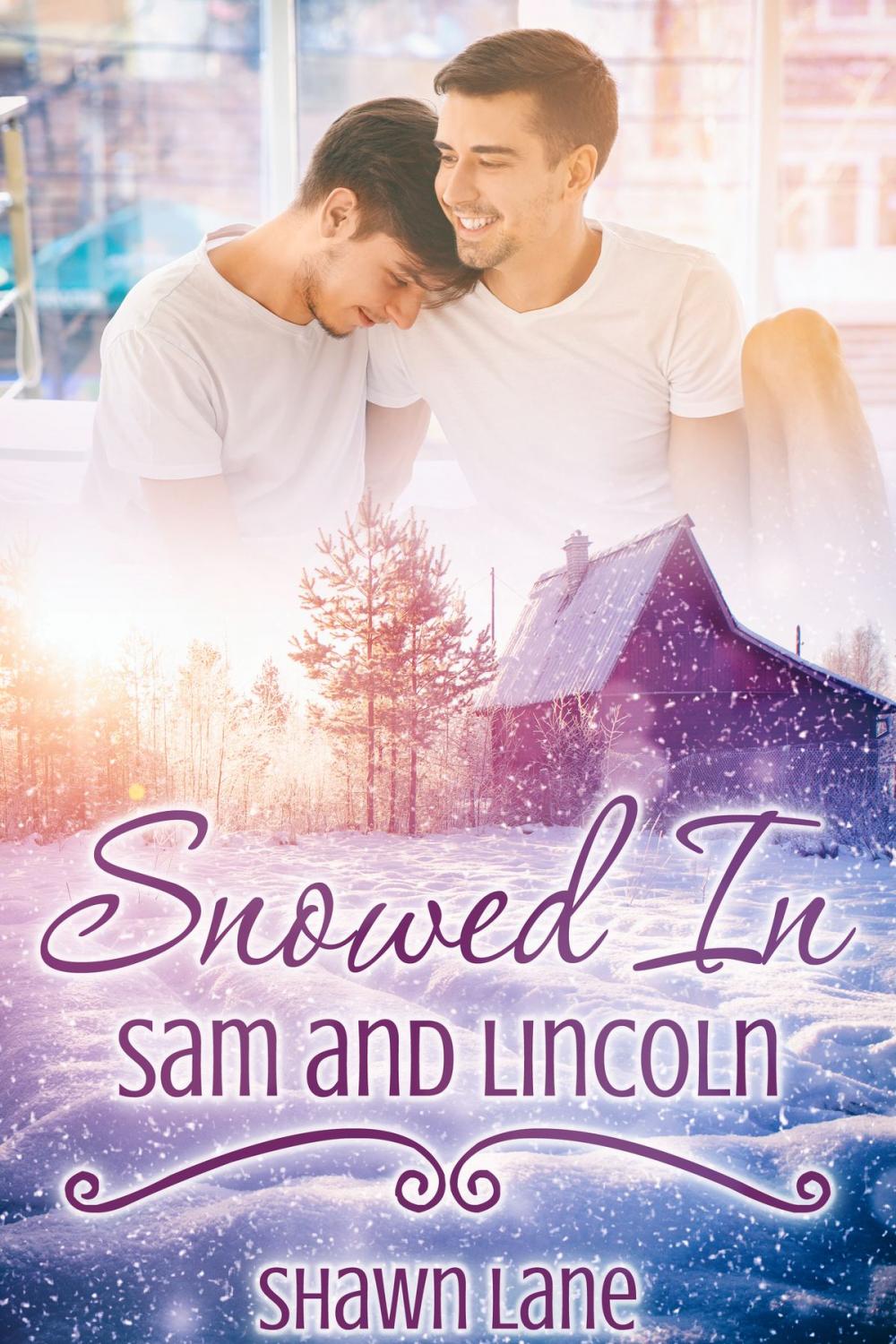 Big bigCover of Snowed In: Sam and Lincoln