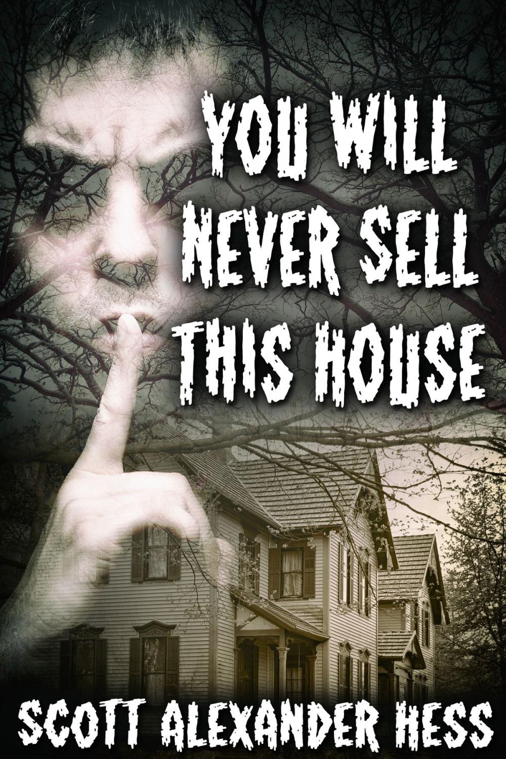 Big bigCover of You Will Never Sell This House