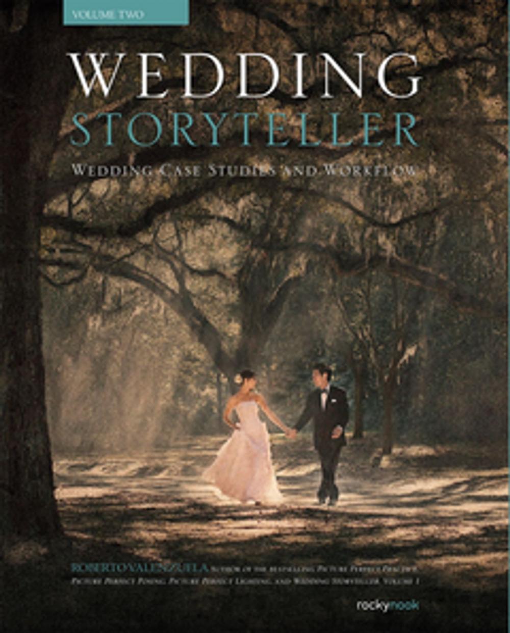 Big bigCover of Wedding Storyteller, Volume 2