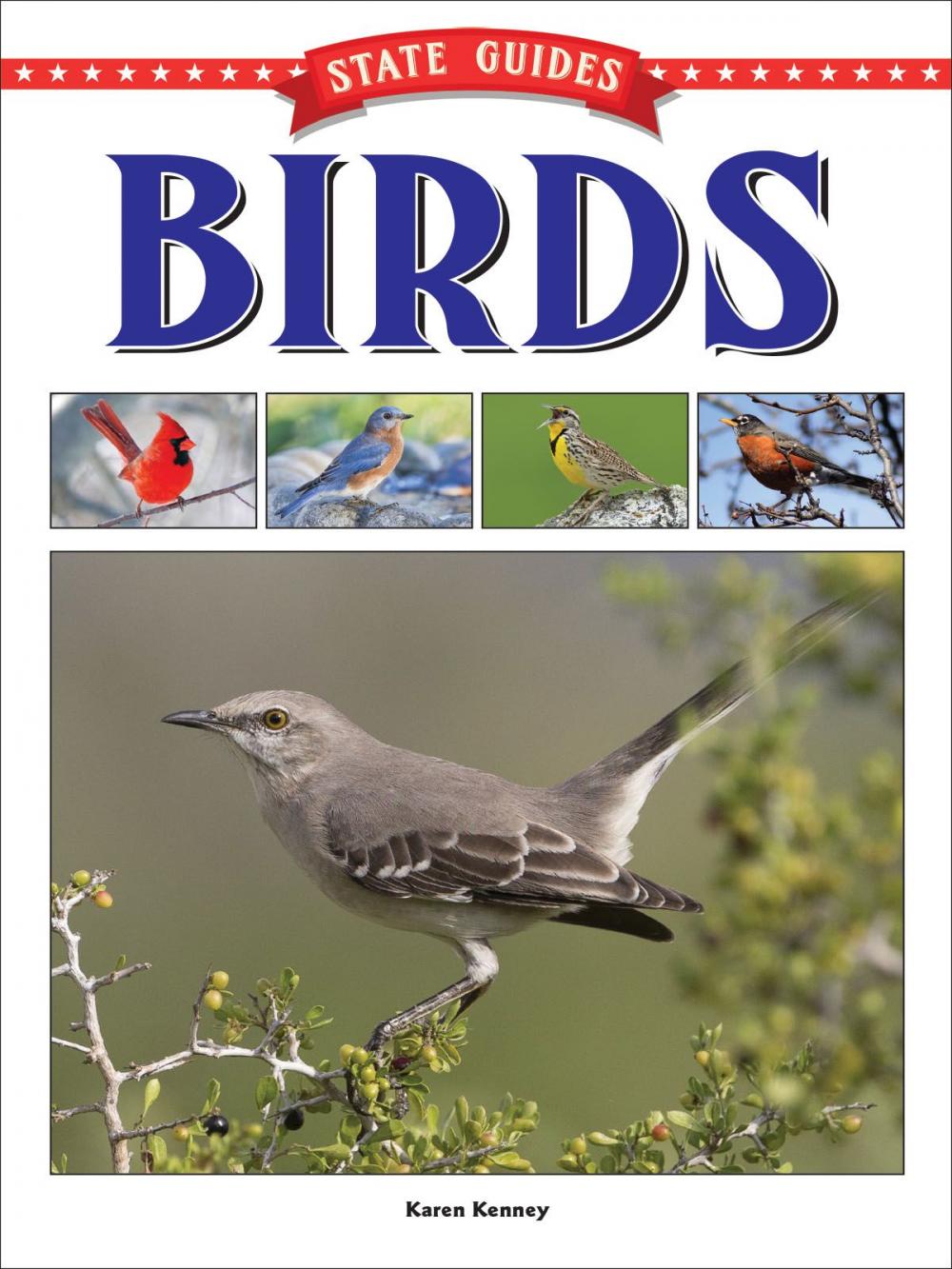 Big bigCover of State Guides to Birds