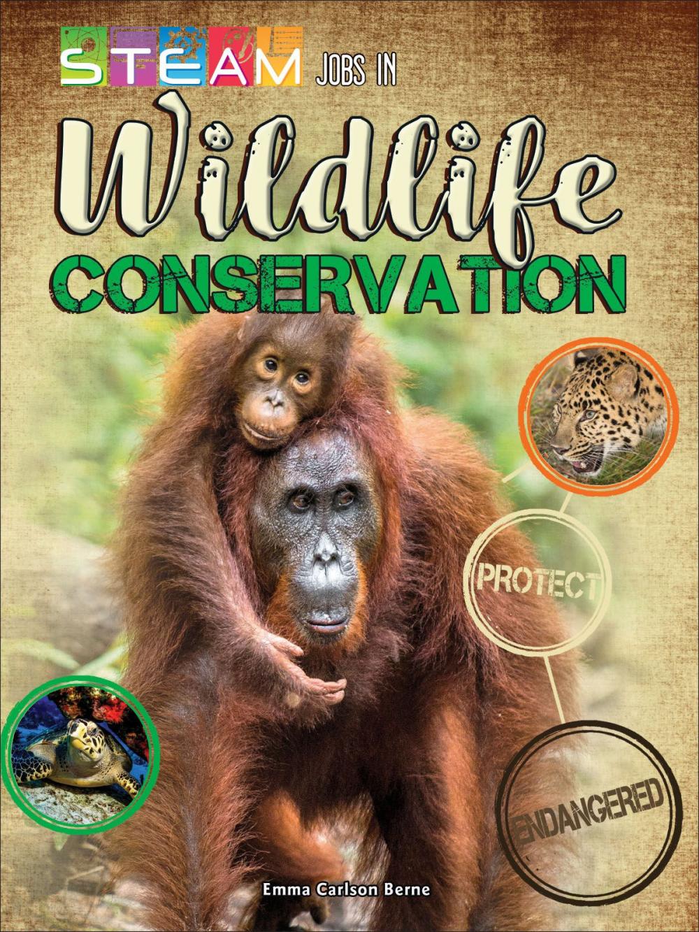 Big bigCover of STEM Jobs in Wildlife Conservation