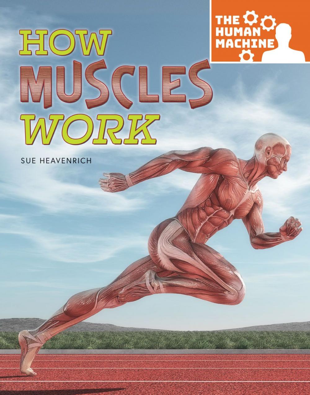 Big bigCover of How Muscles Work