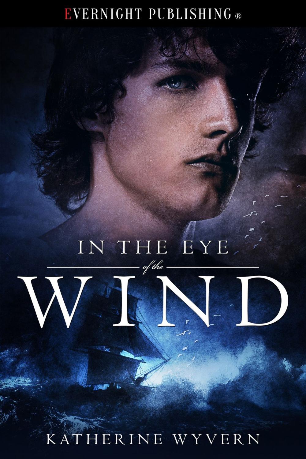 Big bigCover of In the Eye of the Wind