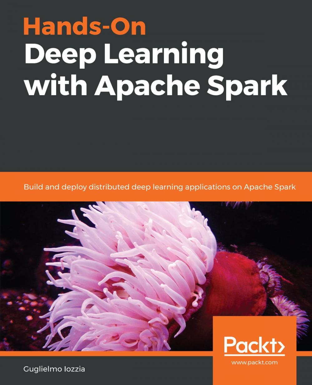 Big bigCover of Hands-On Deep Learning with Apache Spark