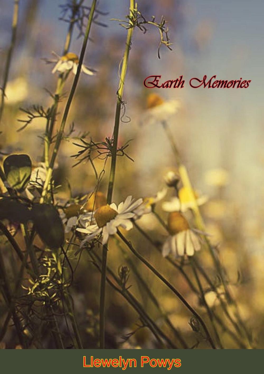 Big bigCover of Earth Memories