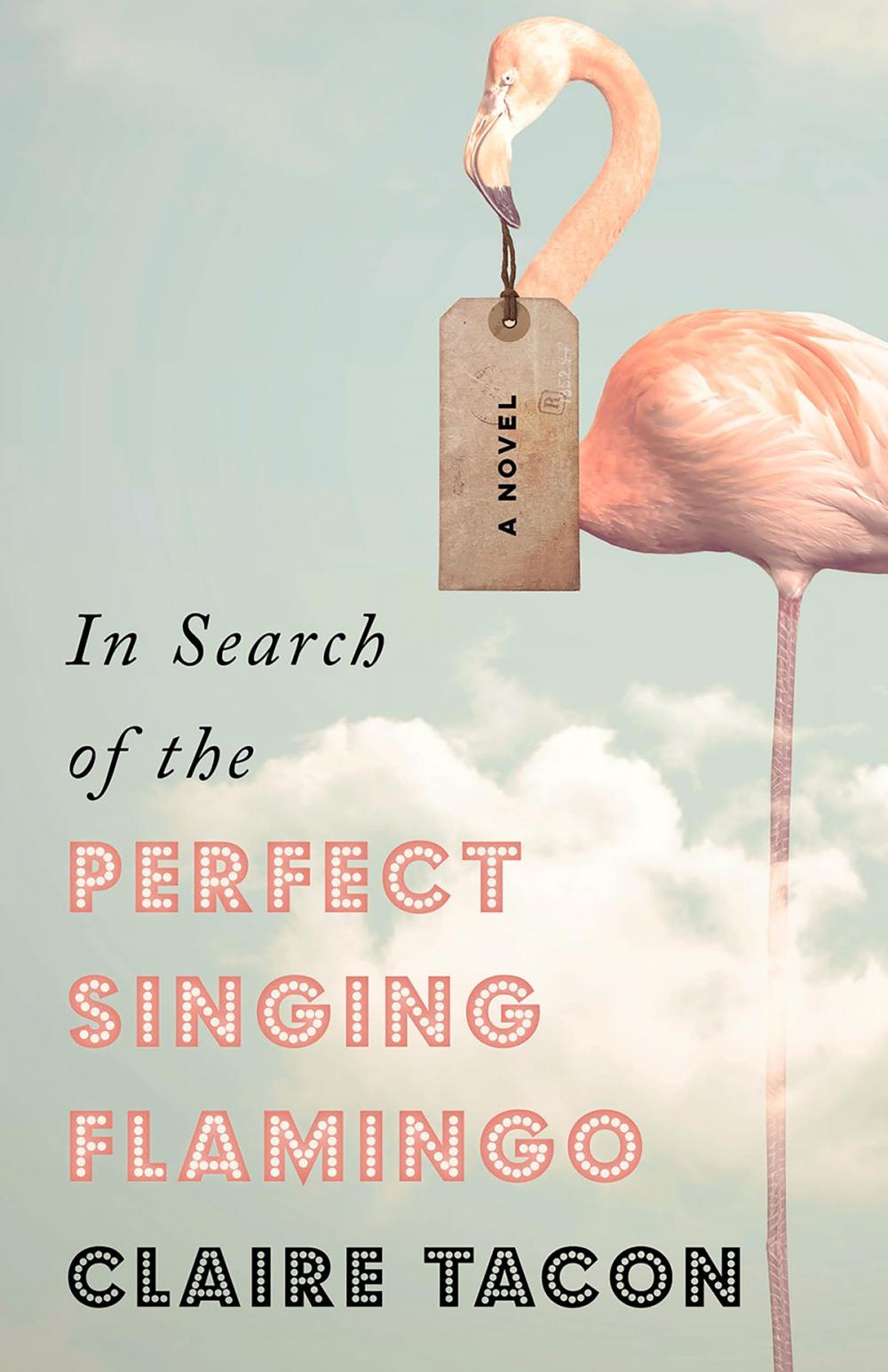 Big bigCover of In Search of the Perfect Singing Flamingo