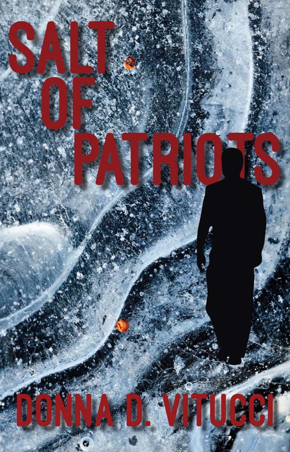 Big bigCover of Salt of Patriots