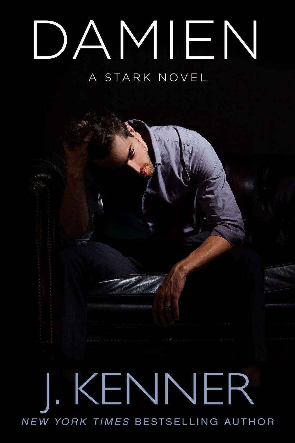 Big bigCover of Damien: A Stark Novel