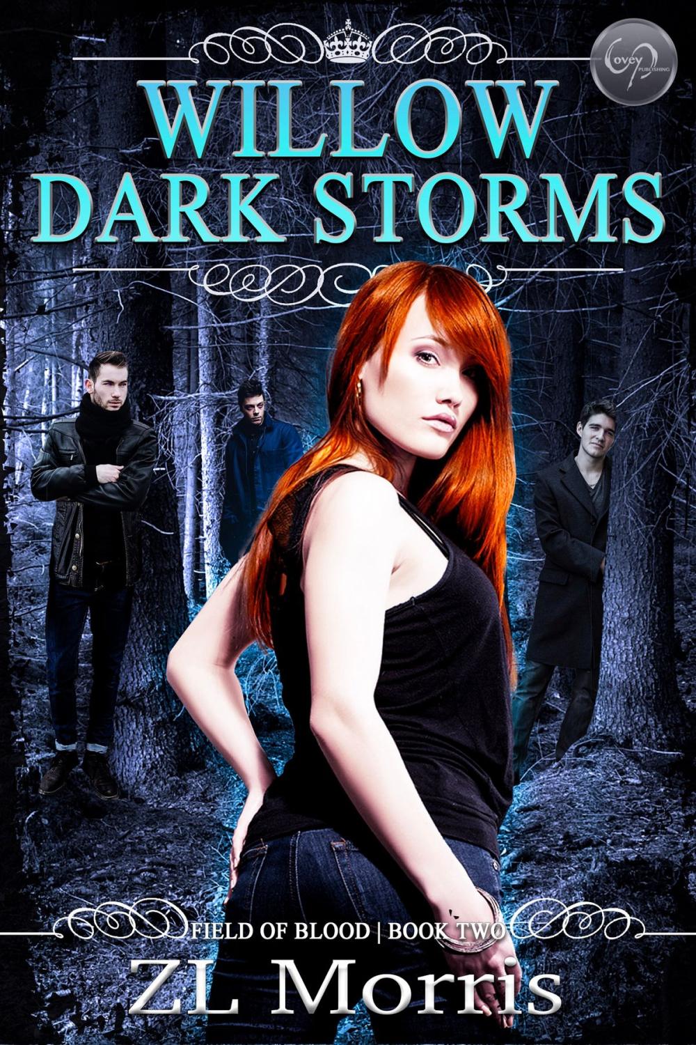 Big bigCover of Willow Dark Storm