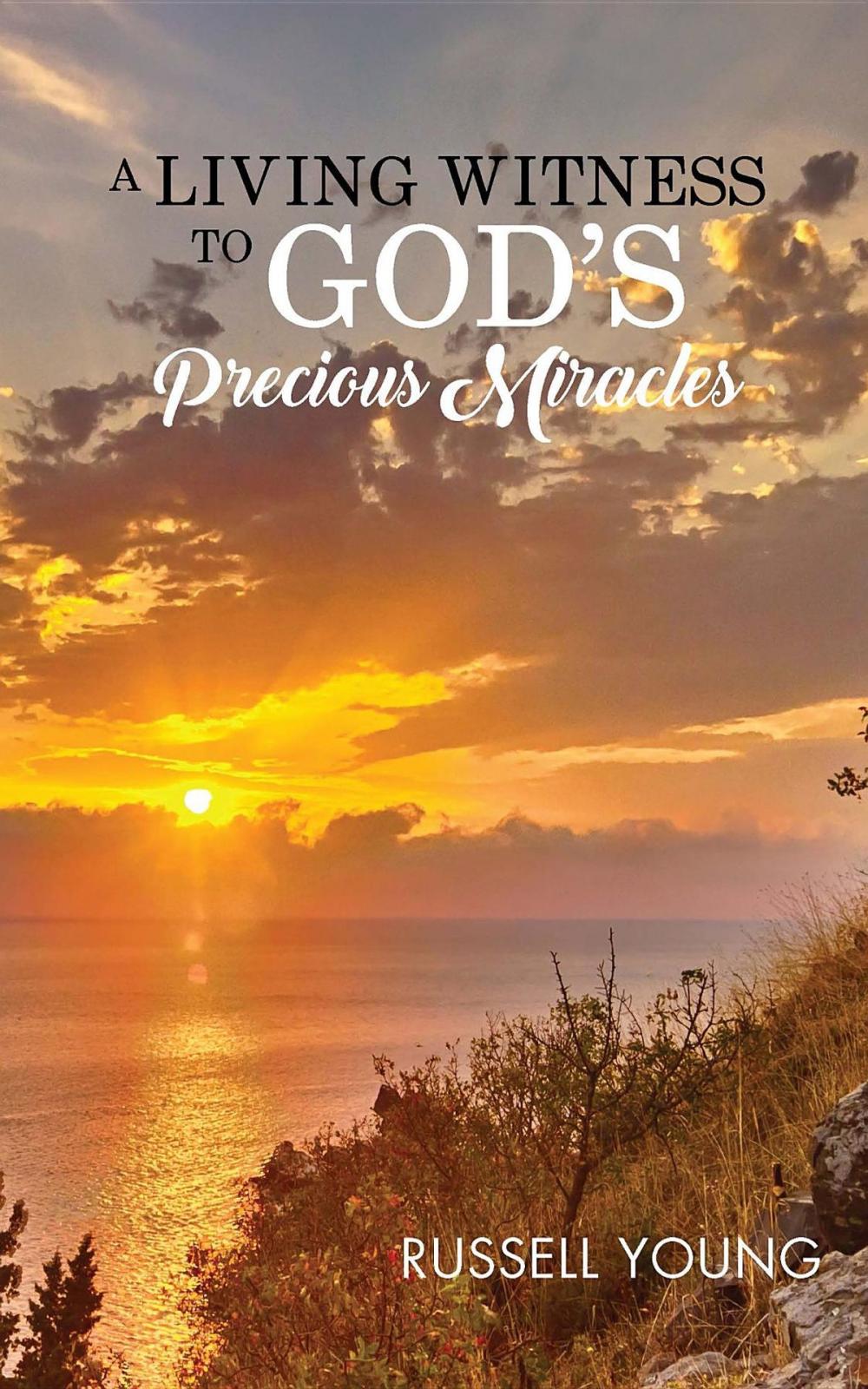 Big bigCover of A Living Witness to God's Precious Miracles