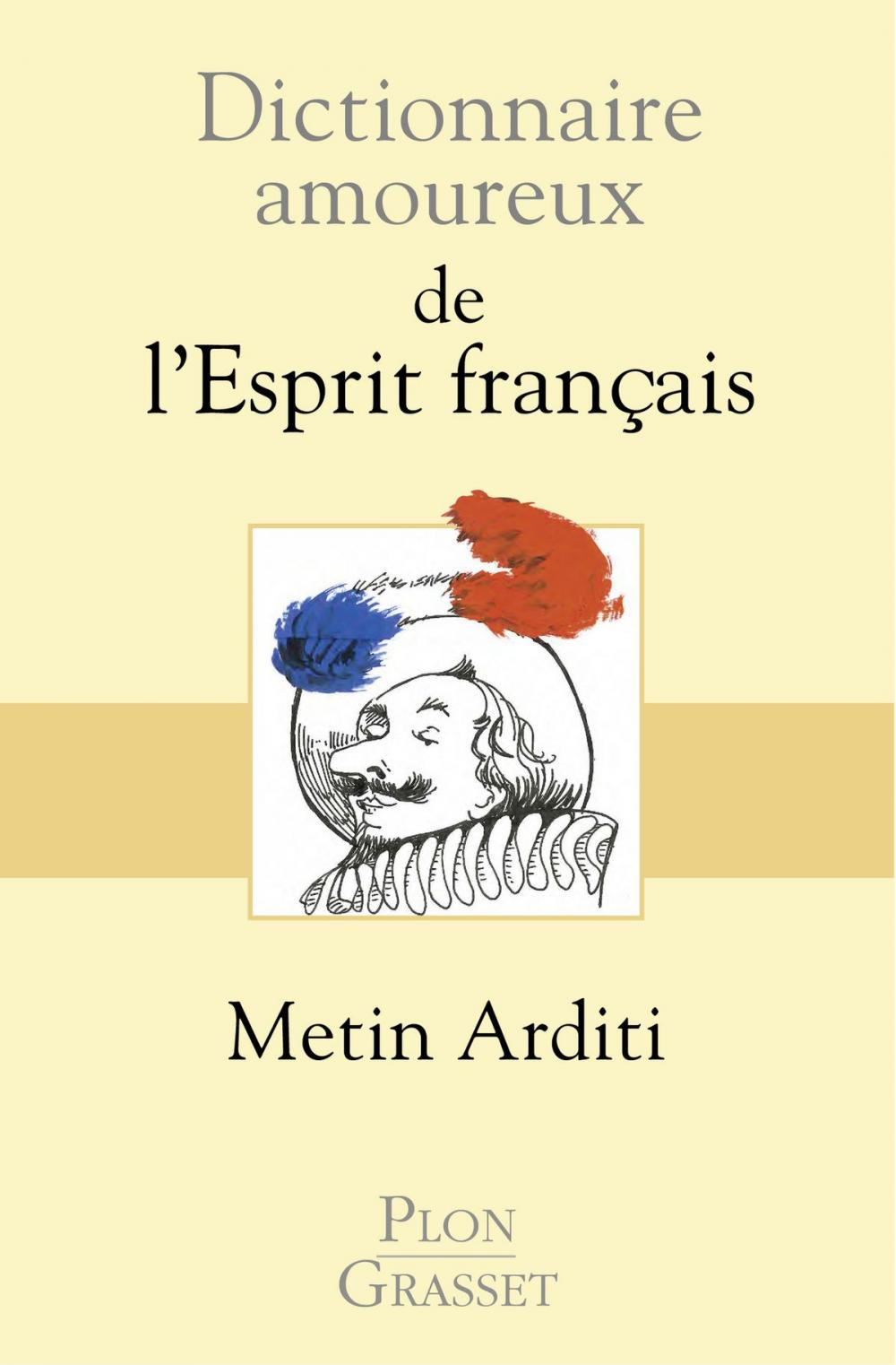 Big bigCover of Dictionnaire amoureux de l'esprit français