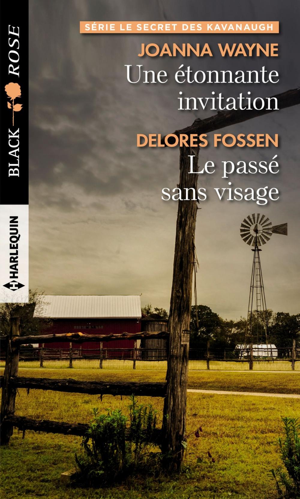 Big bigCover of Une étonnante invitation - Le passé sans visage