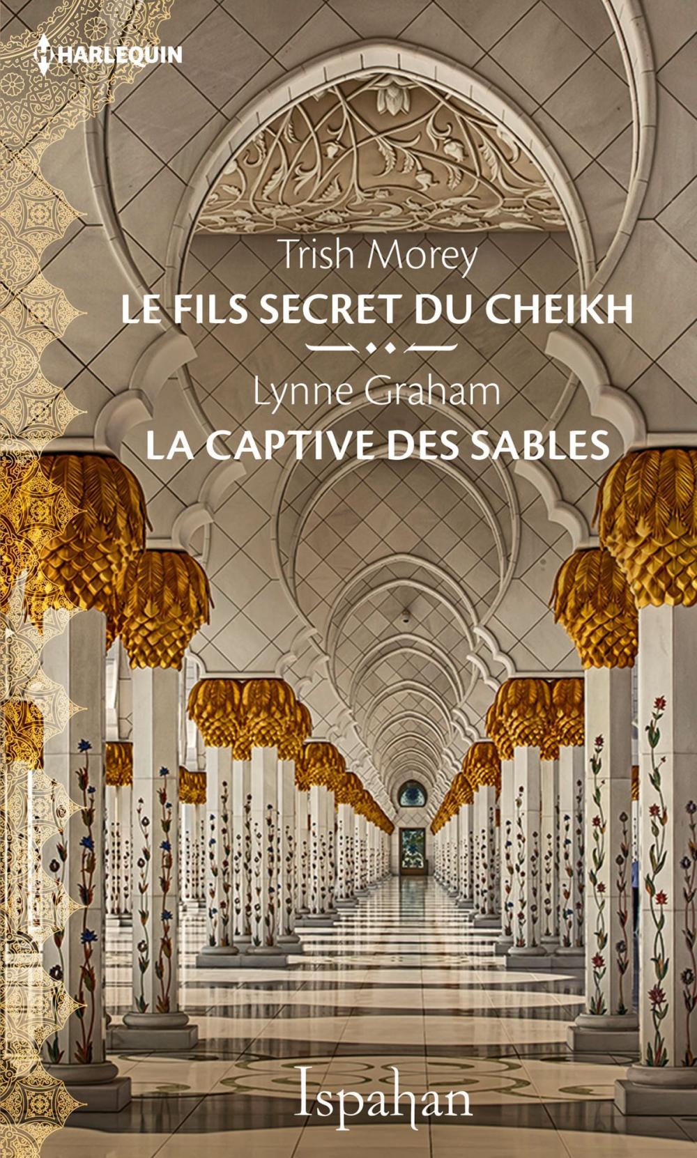 Big bigCover of Le fils secret du cheikh - La captive des sables