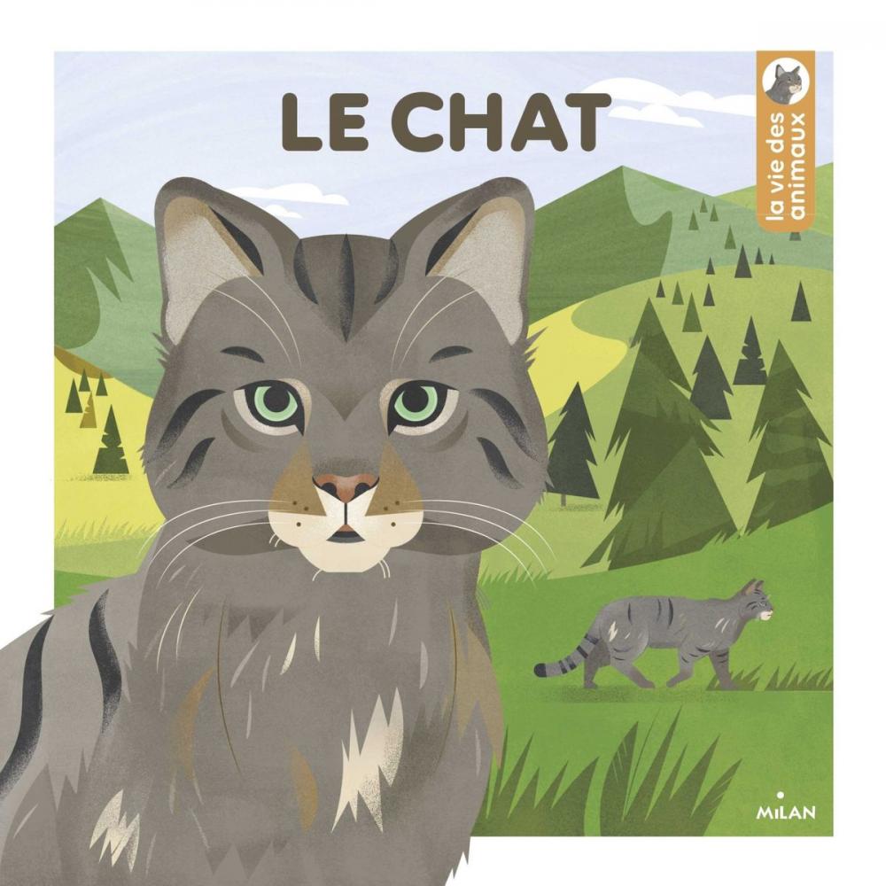 Big bigCover of Le chat