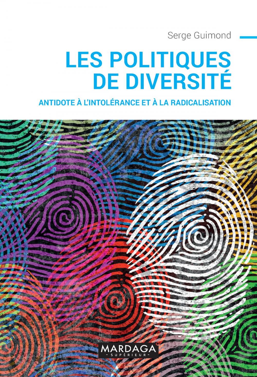 Big bigCover of Les politiques de diversité