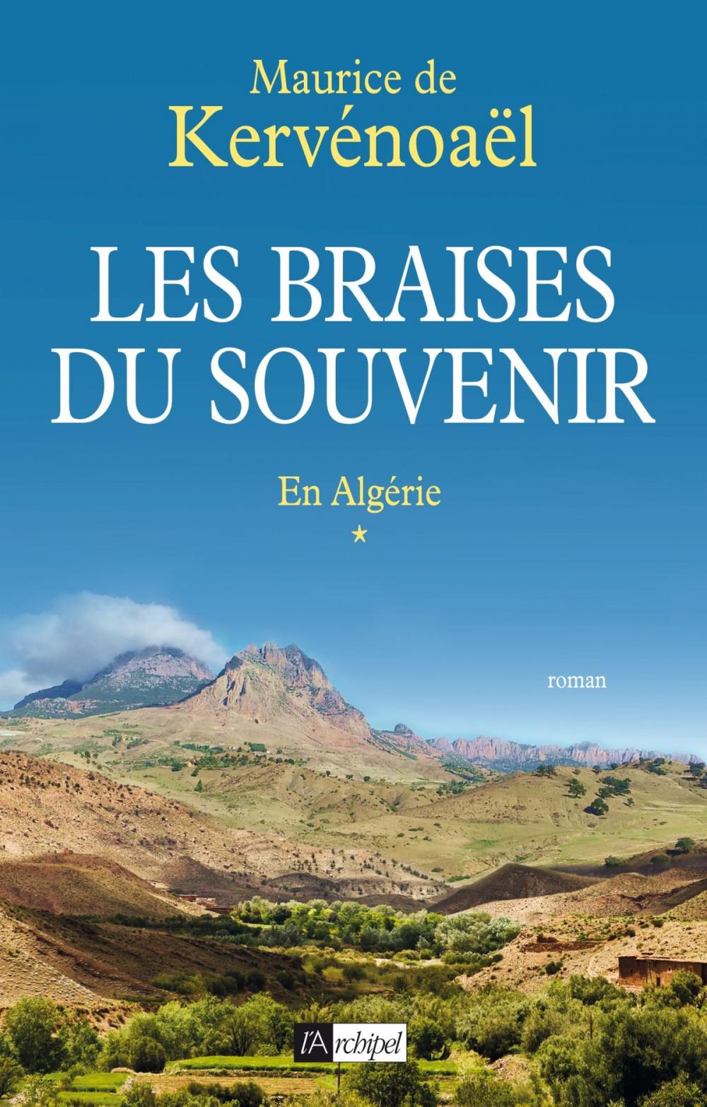 Big bigCover of Les braises du souvenir