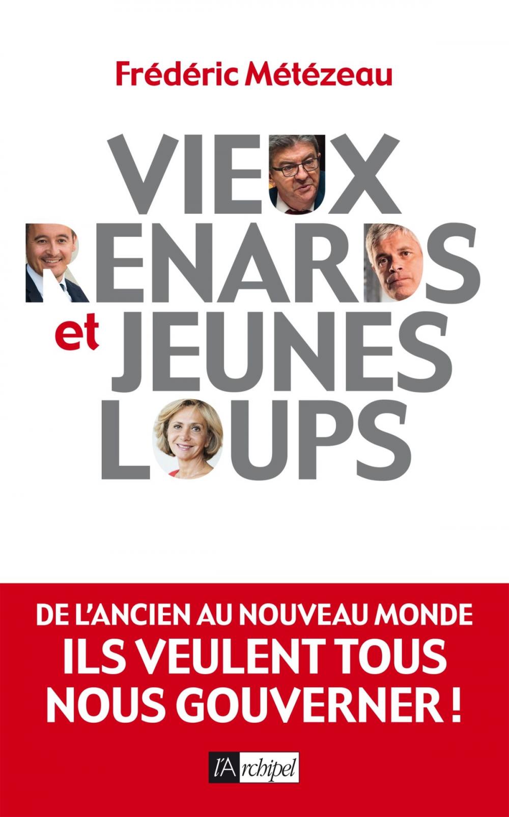 Big bigCover of Vieux renards et jeunes loups