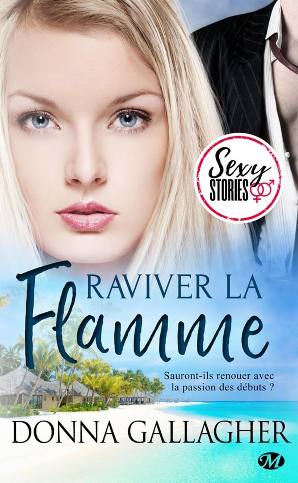 Big bigCover of Raviver la flamme - Sexy Stories