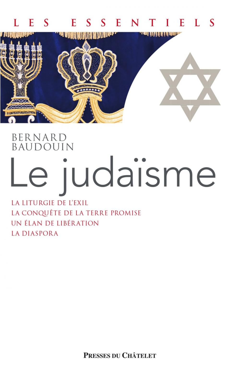 Big bigCover of Le judaïsme