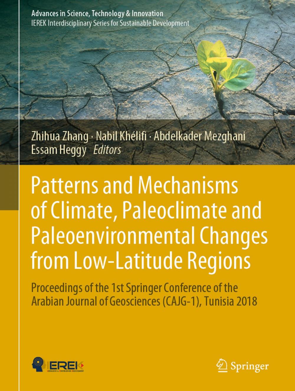 Big bigCover of Patterns and Mechanisms of Climate, Paleoclimate and Paleoenvironmental Changes from Low-Latitude Regions