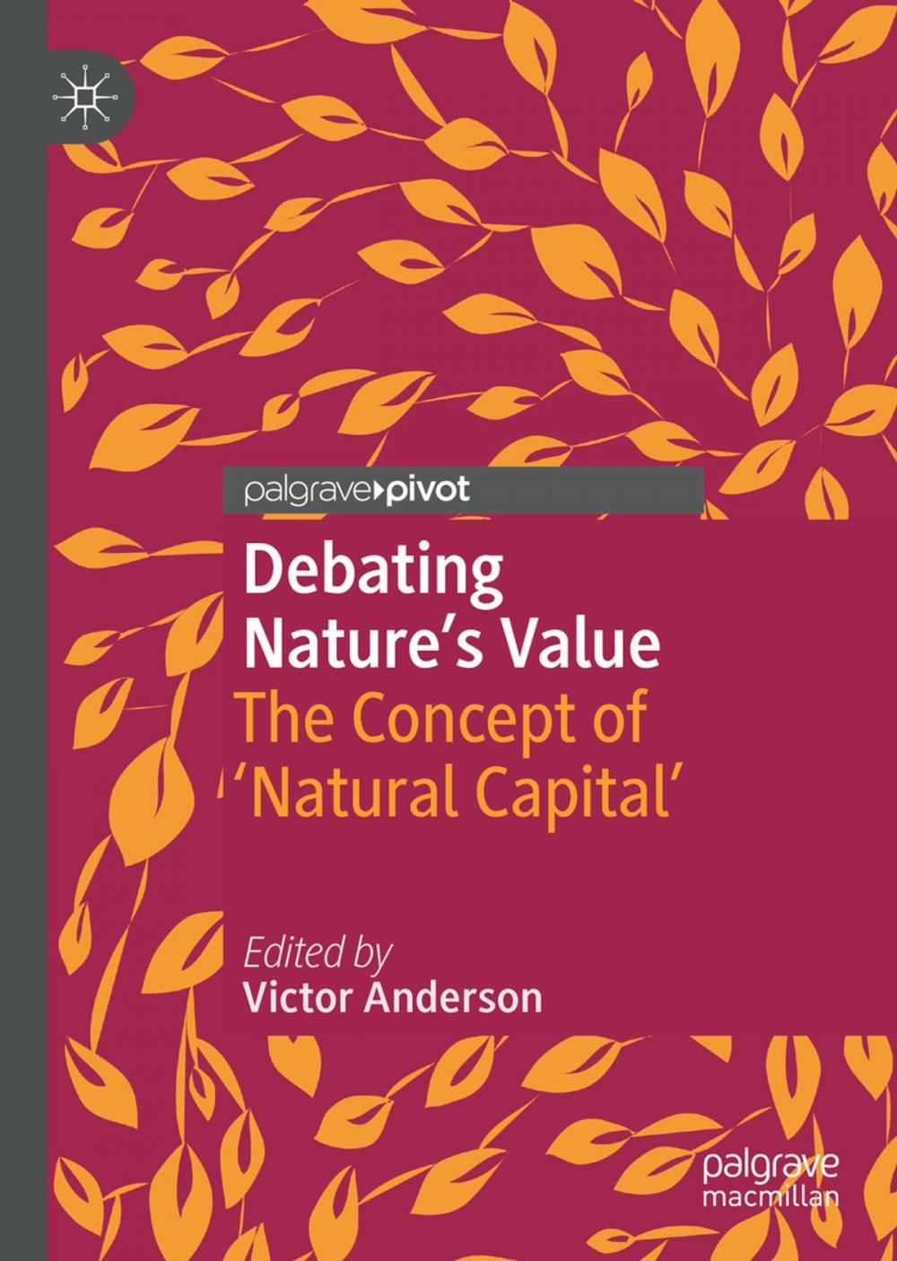 Big bigCover of Debating Nature's Value