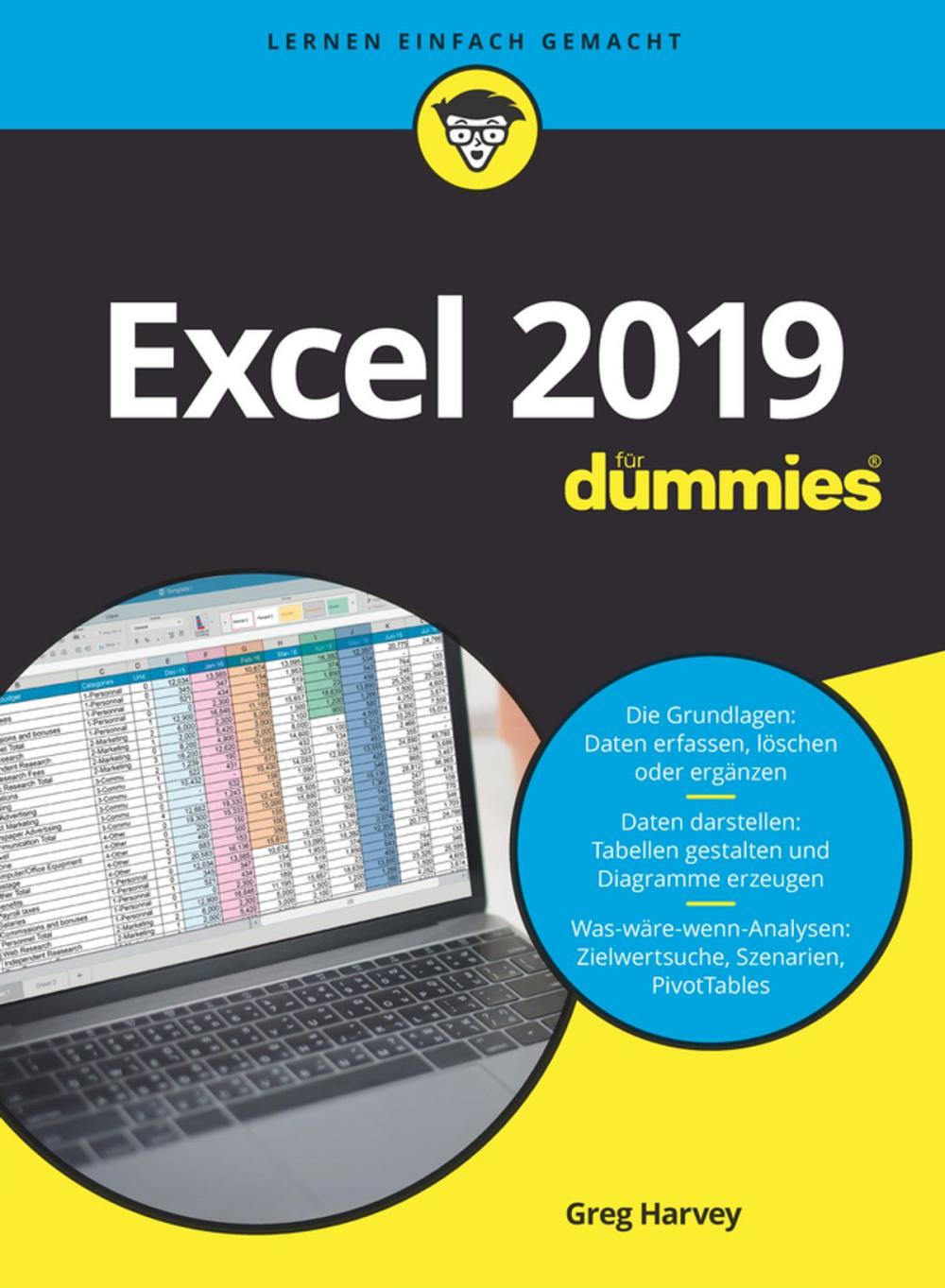 Big bigCover of Excel 2019 für Dummies