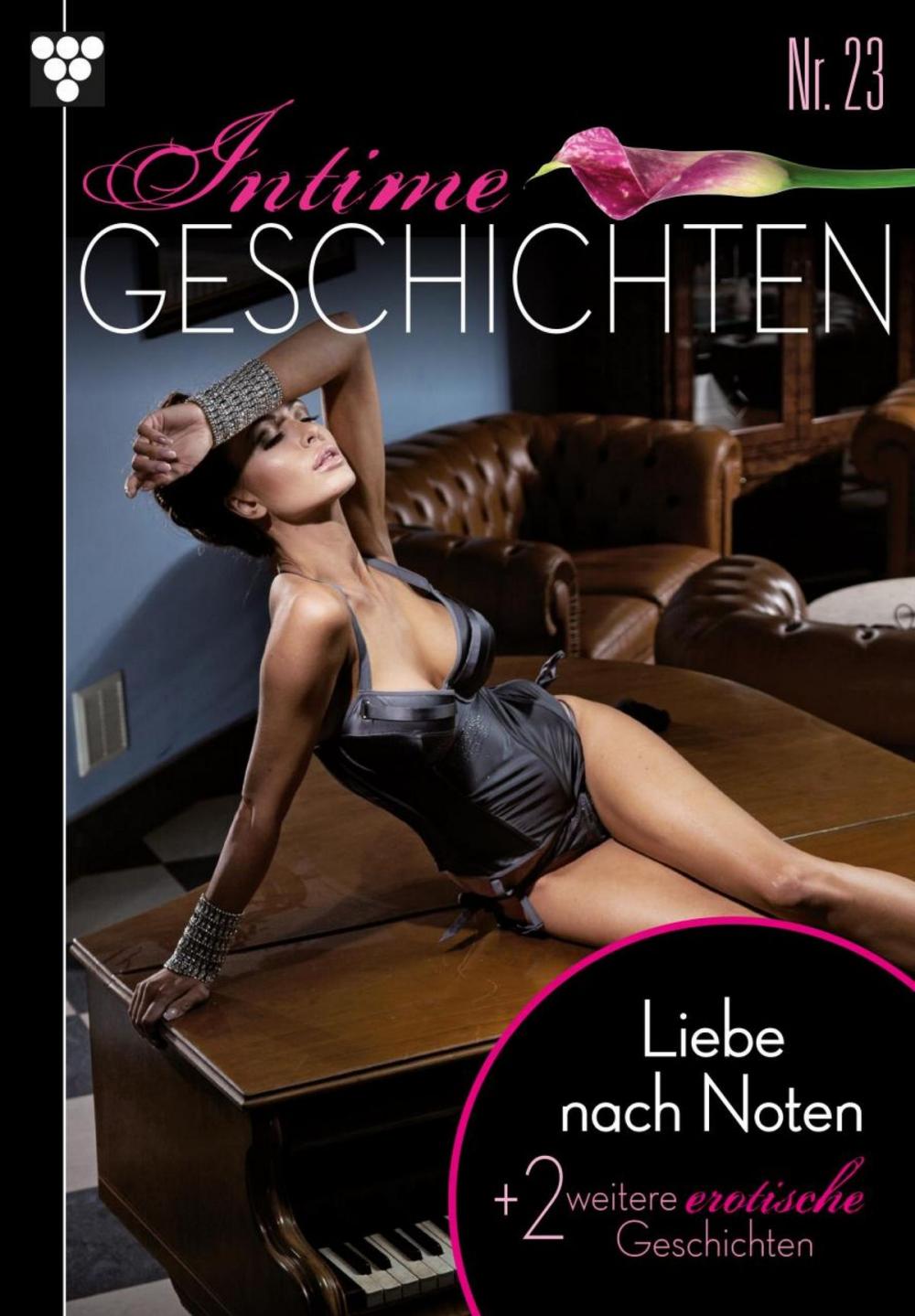 Big bigCover of Intime Geschichten 23 – Erotikroman