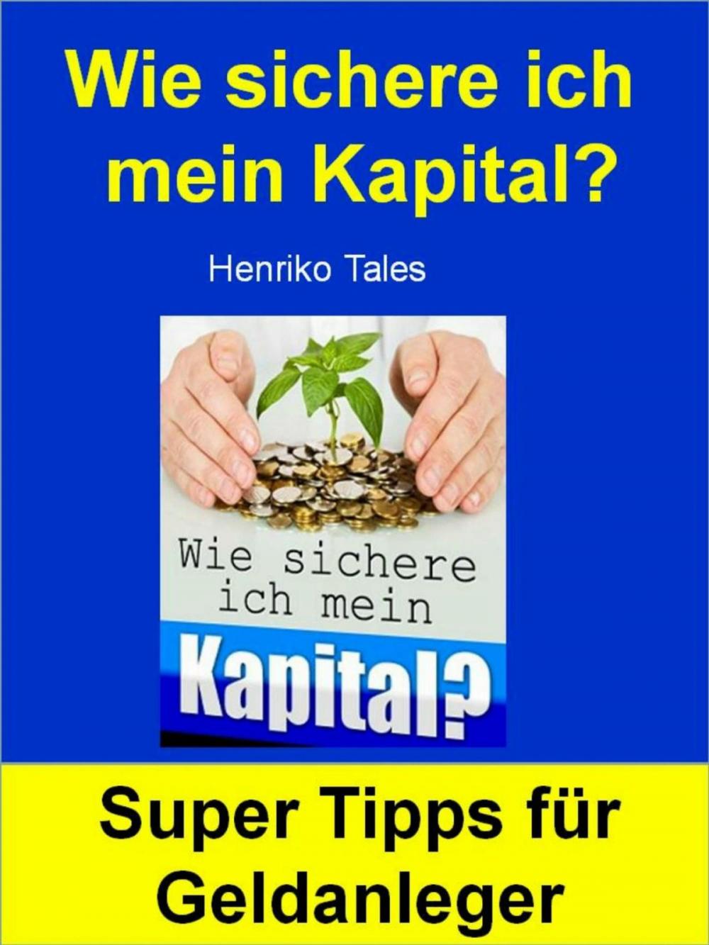 Big bigCover of Wie sichere ich mein Kapital