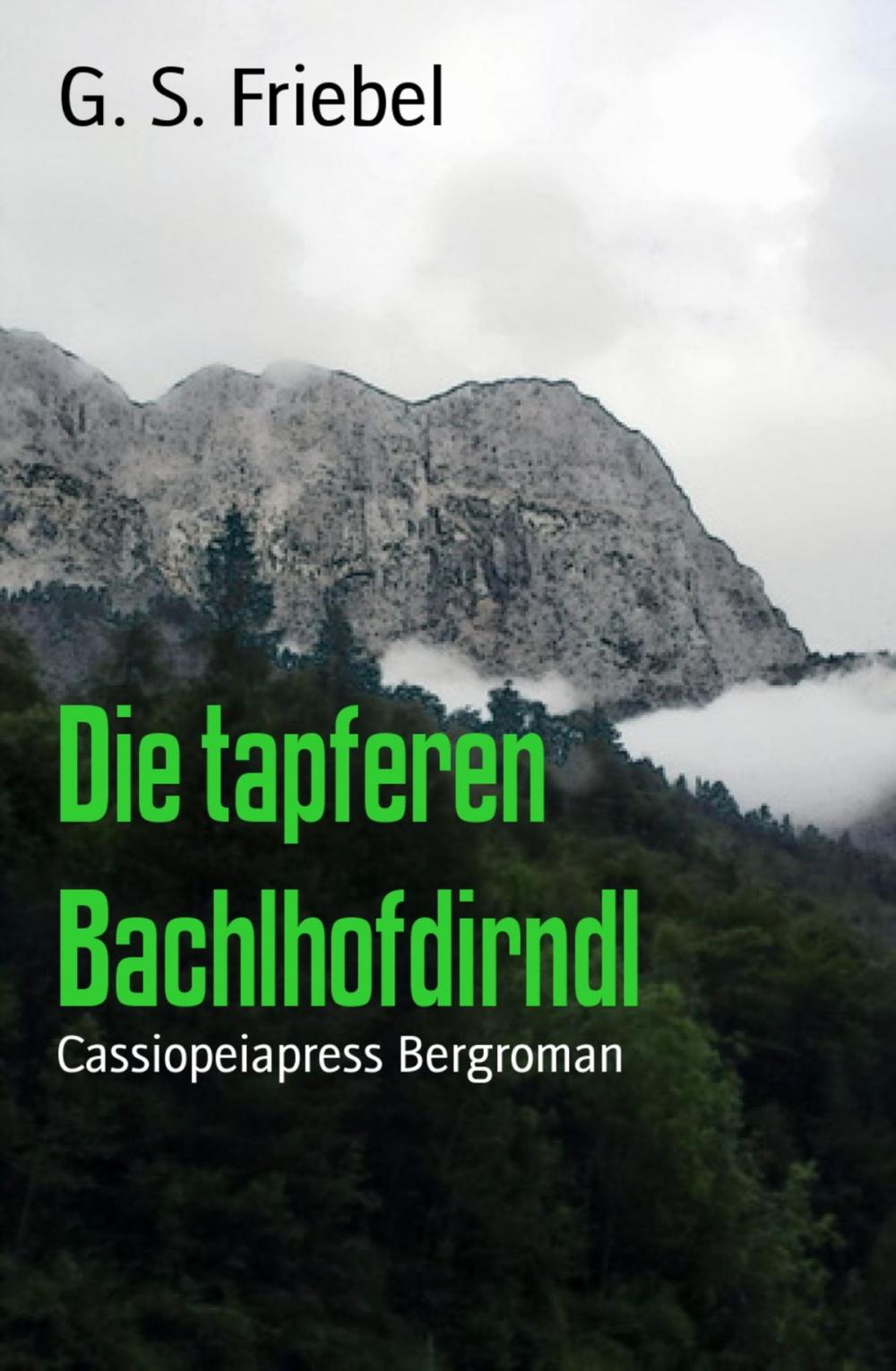 Big bigCover of Die tapferen Bachlhofdirndl