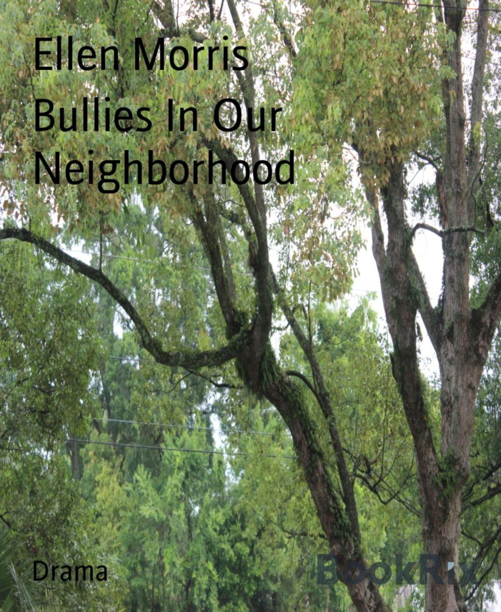 Big bigCover of Bullies In Our Neighborhood