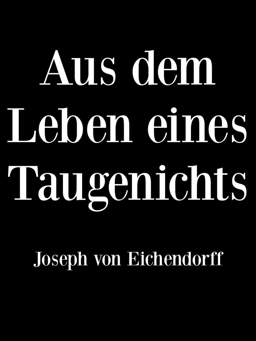 Big bigCover of Aus dem Leben eines Taugenichts