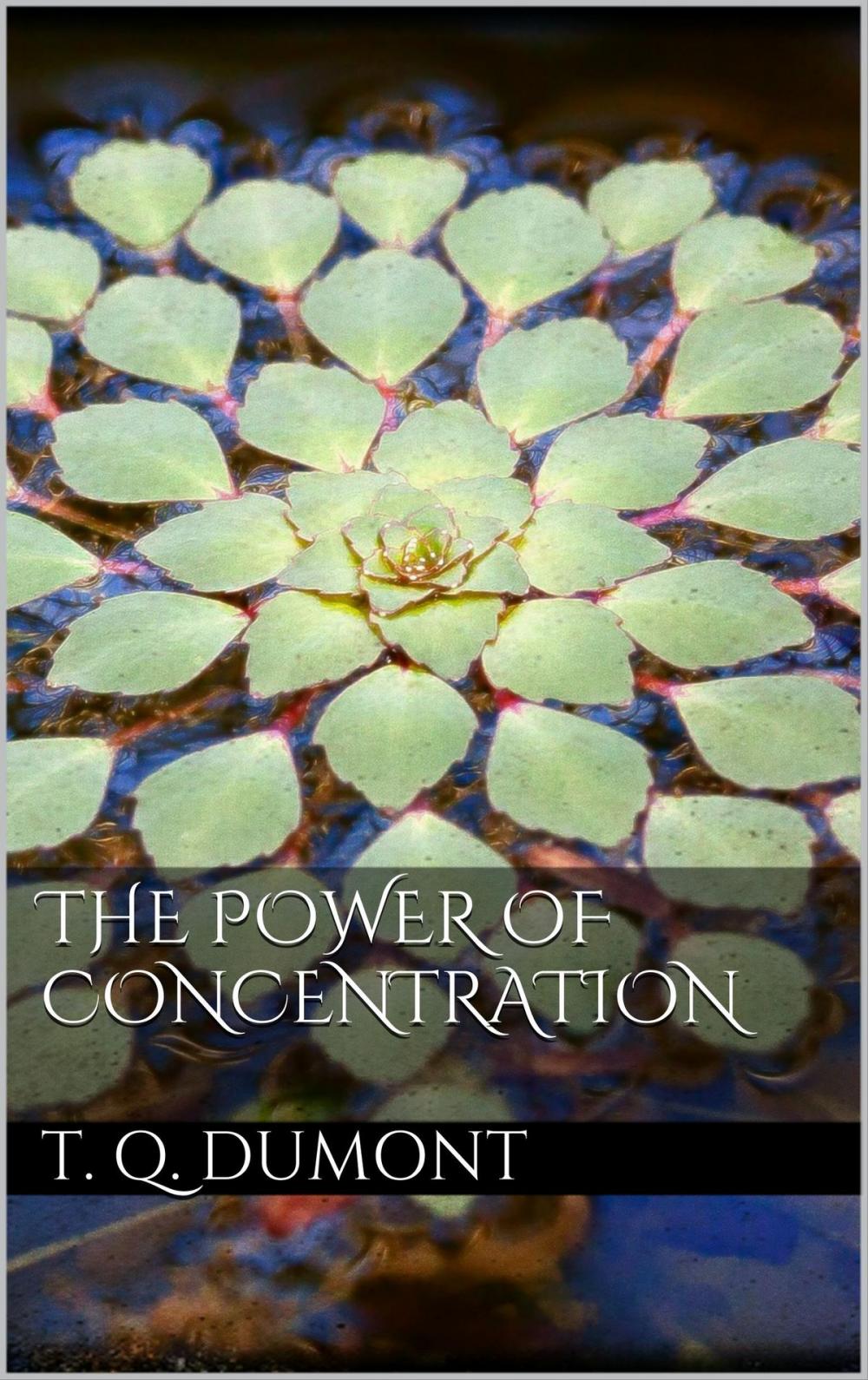 Big bigCover of The Power of Concentration