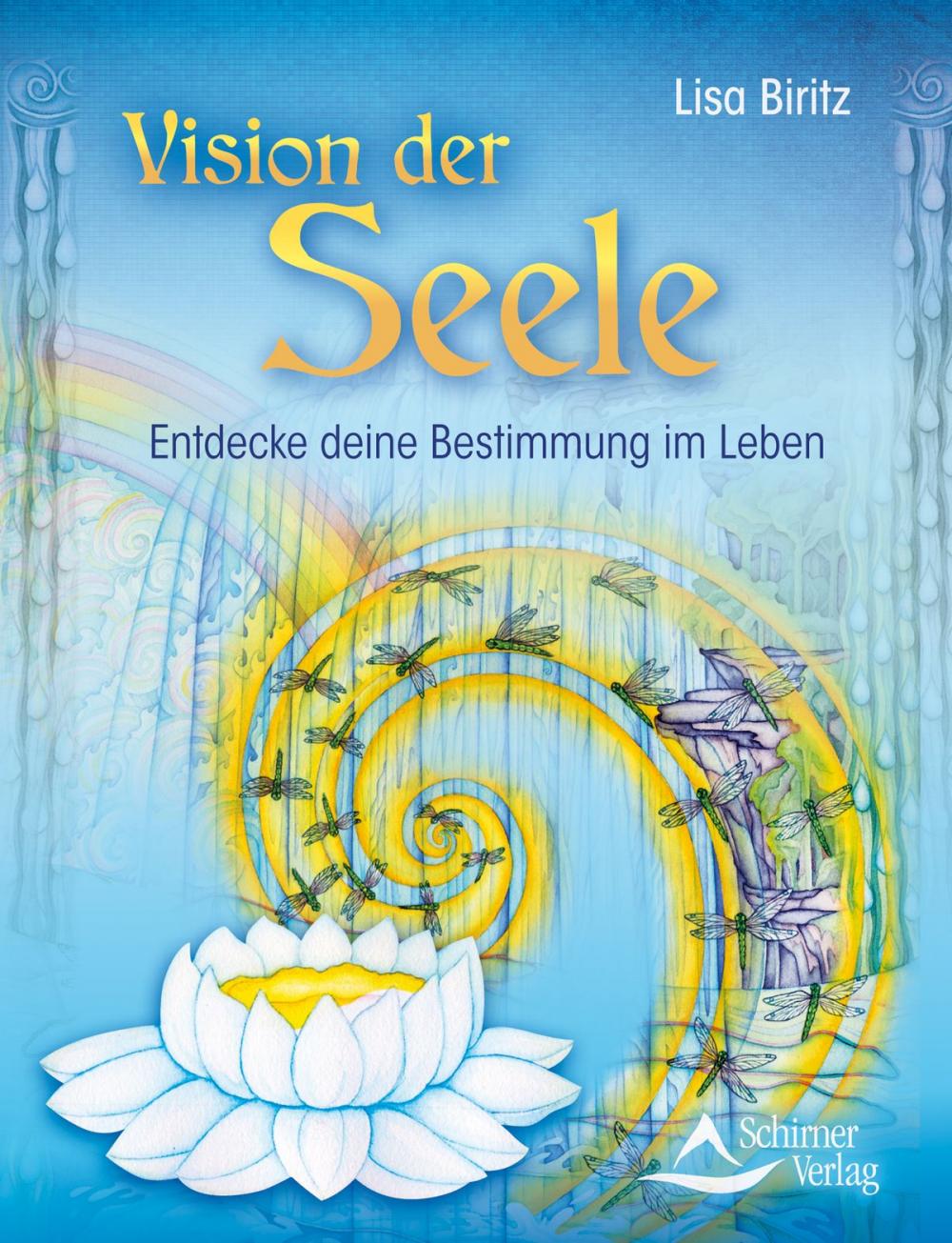 Big bigCover of Vision der Seele