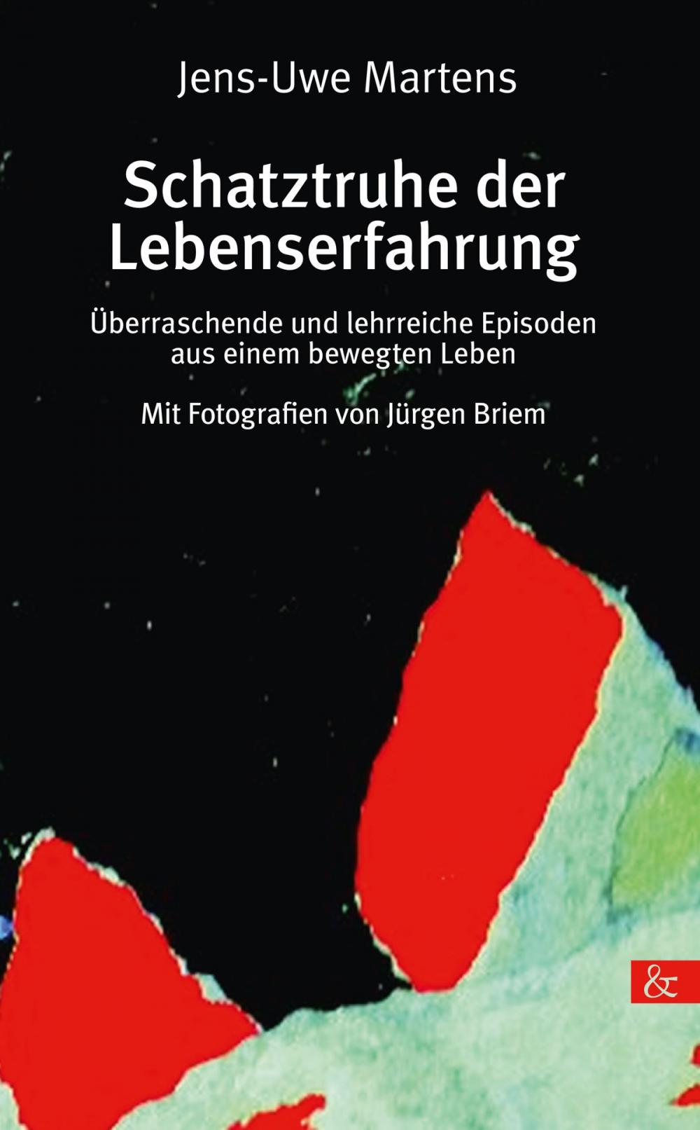 Big bigCover of Schatztruhe der Lebenserfahrung