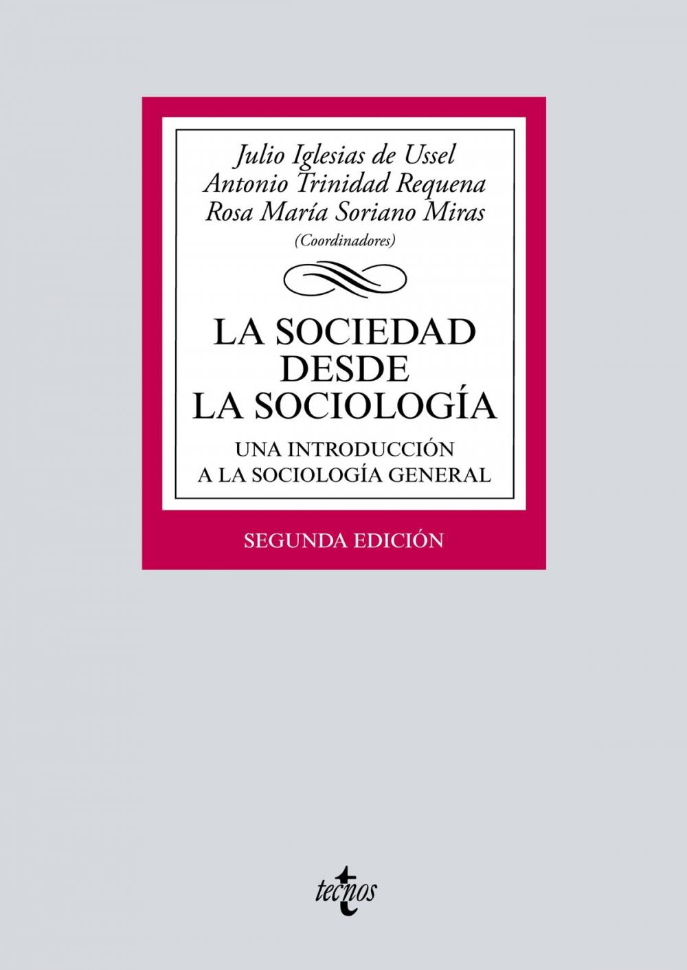 Big bigCover of La sociedad desde la sociología