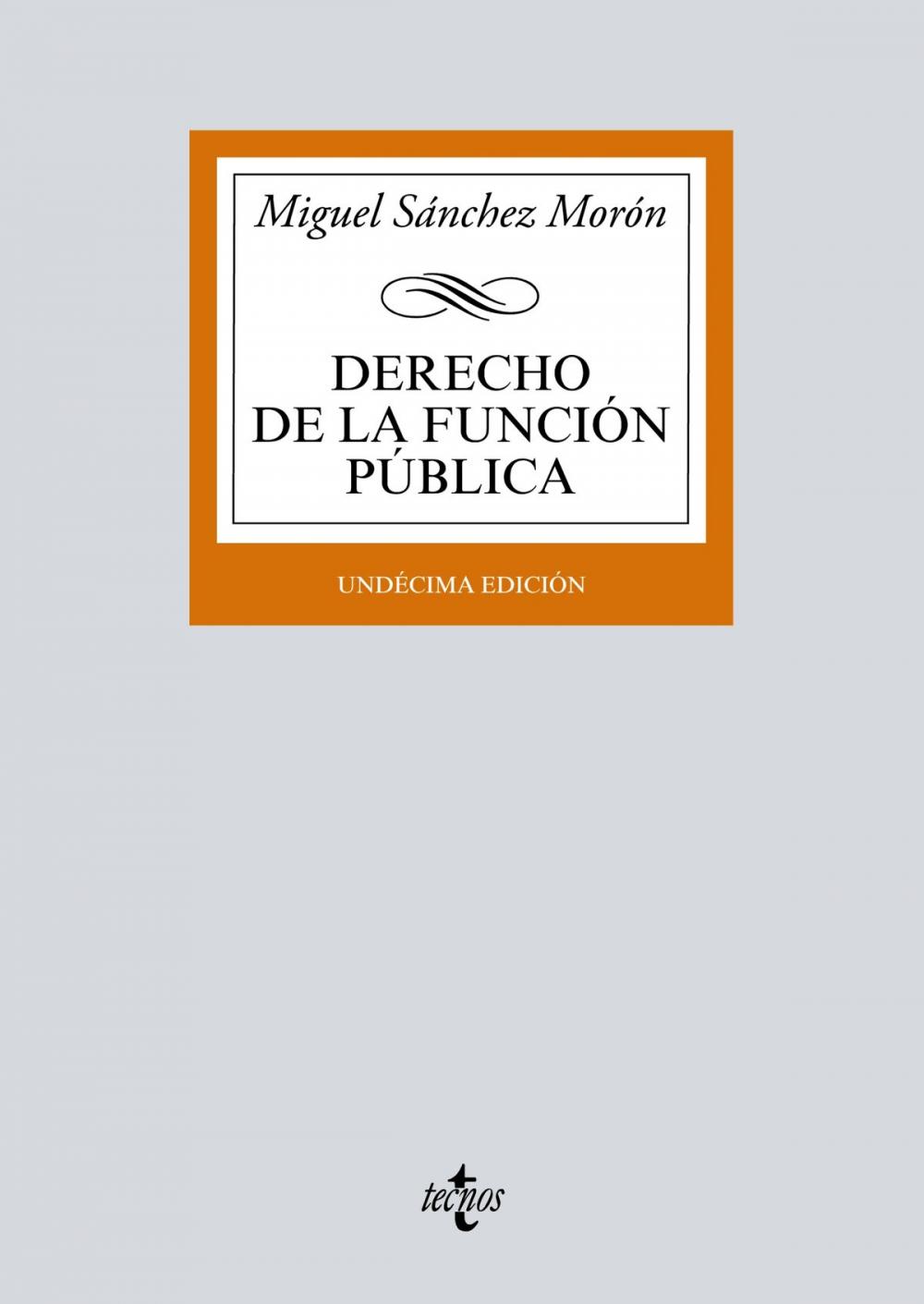 Big bigCover of Derecho de la función pública