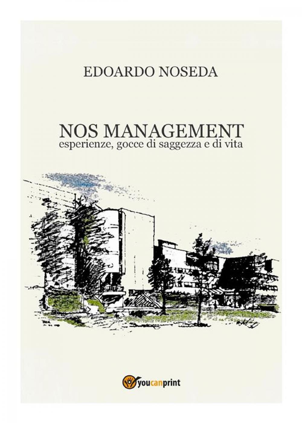 Big bigCover of Nos Management